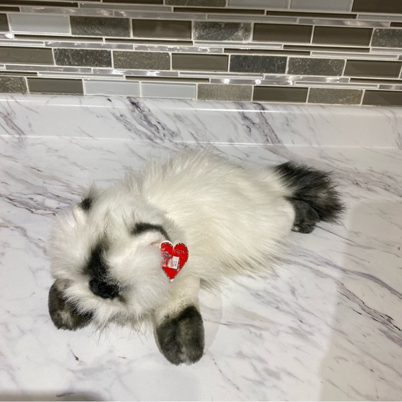 Vintage TY Classic Angel Himalayan Cat 20th anniversary beanie buddy cat plush - Picture 2 of 10